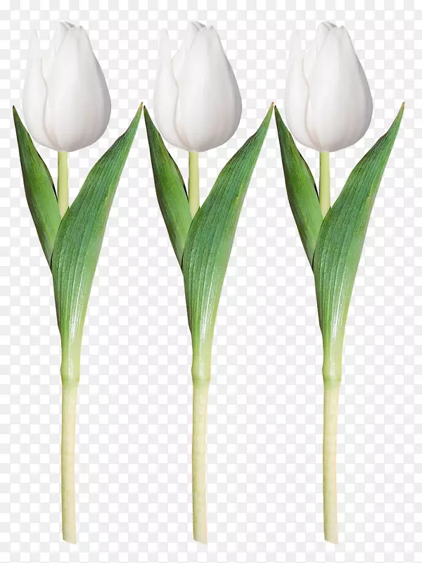 �������ɫ������-Ϳ�ϰ�ɫ������-������