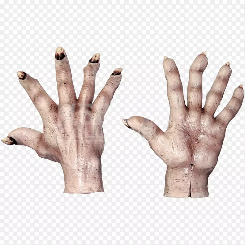 �ֹ�ָ���������-��-������