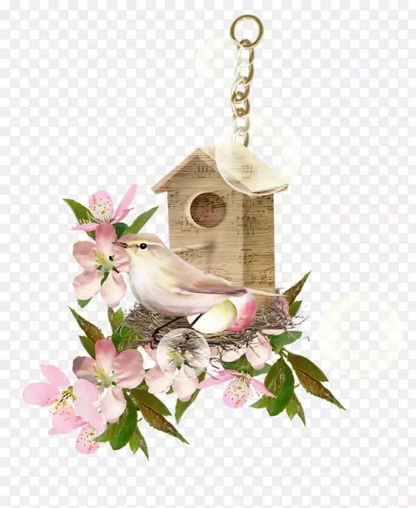 �񳲼�����-��-������