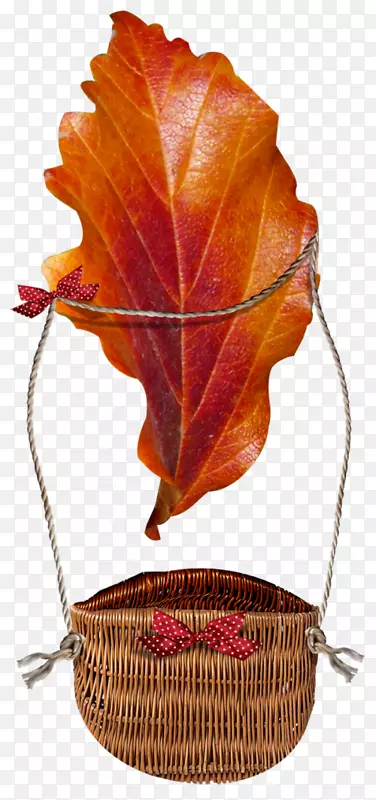 Ҷ����Ҷ����-Ҷ-������