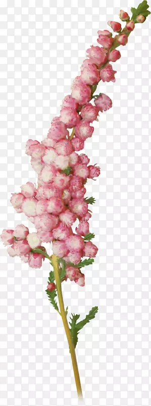 �廨����-������