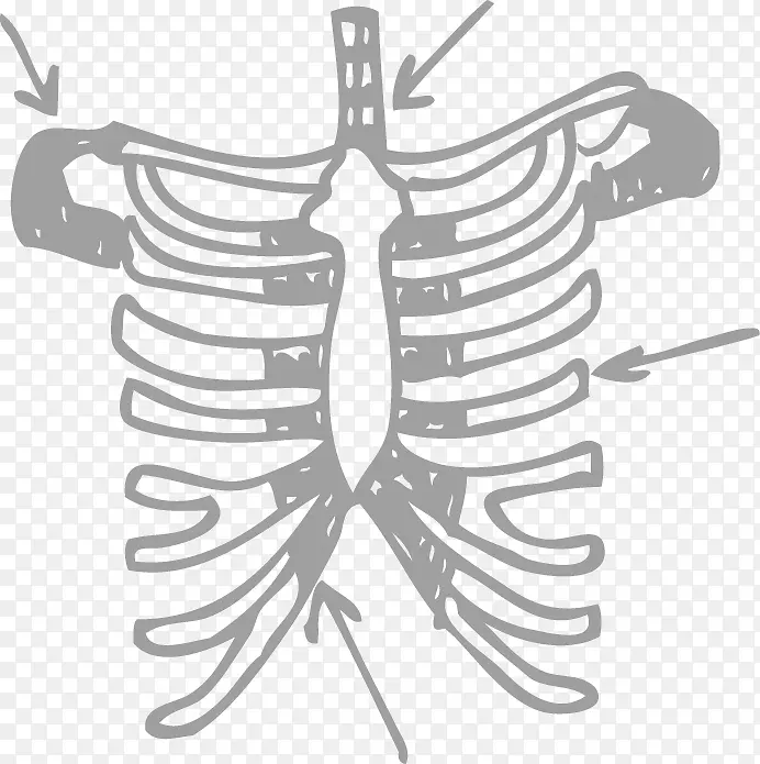 �˹���.��������������-������