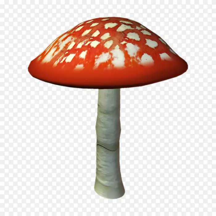 ľ��Ģ��������-Ģ��-������