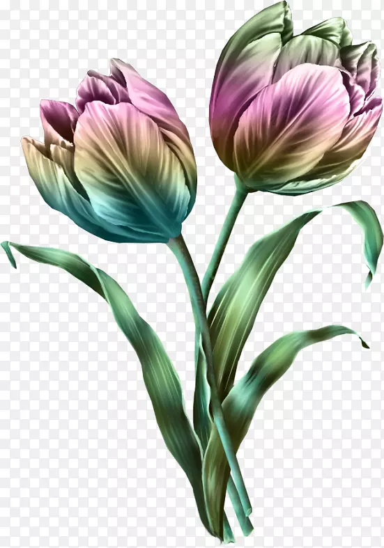 �����㻨��������-������-������