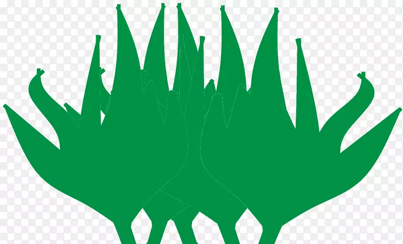 ��Ҷ��-������