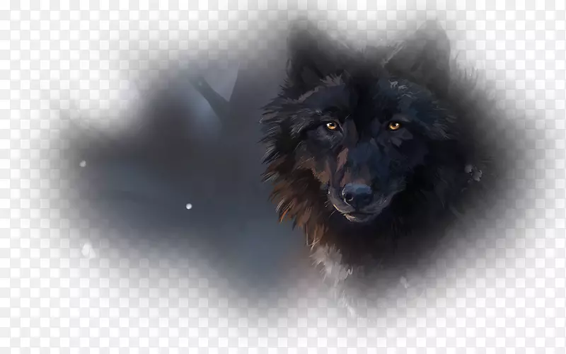 �����������ֽ���ӵ��Թ�-������