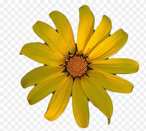 �ջ���Ұ�ջ�-������