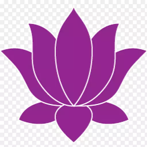 Nelumbo nucifera����ͼ������������������-������