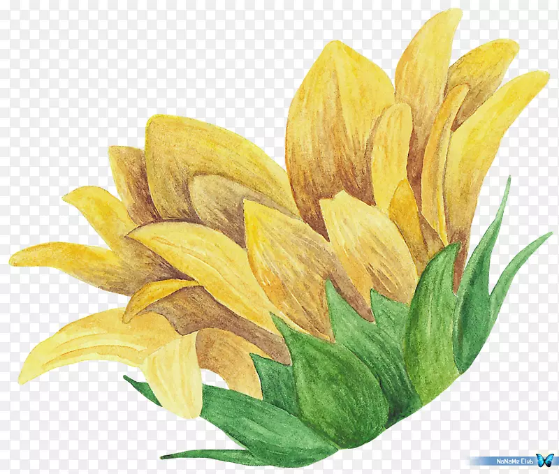 ˮ�ʻ�������-������