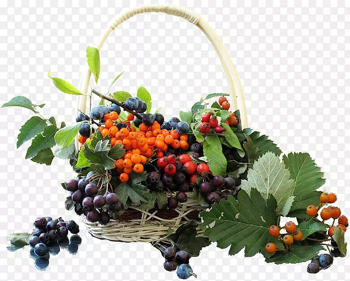 ������Ӱ.����-������