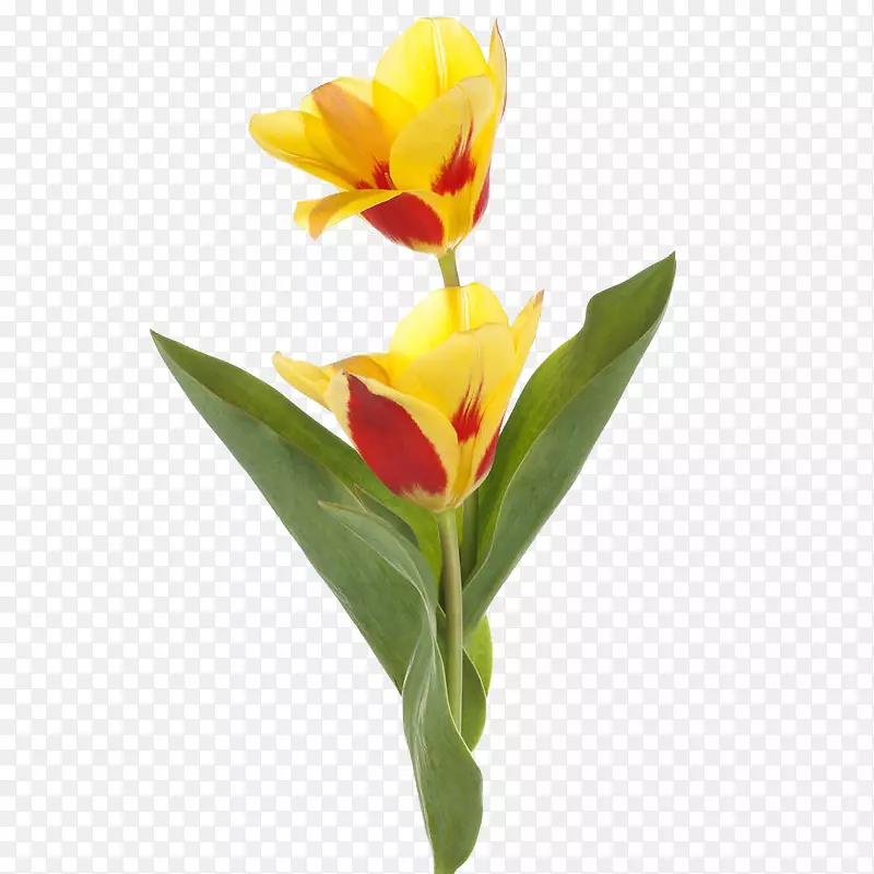 �������ɫ�л����������-������