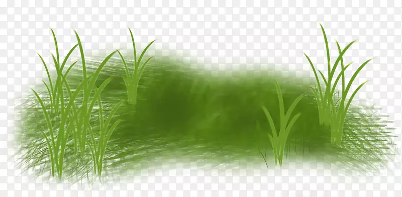 ������-������