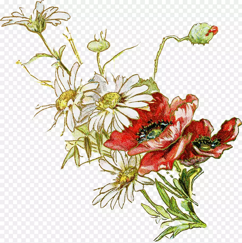 ����ƻ���װ��Ǽ�����-��-������