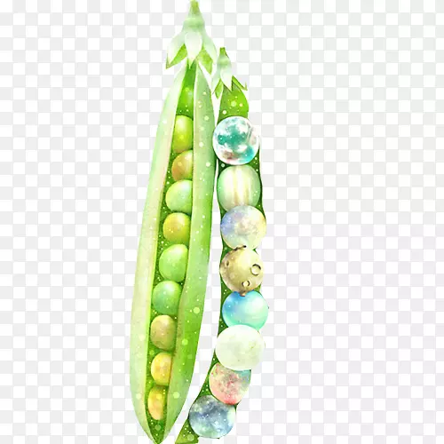 �㶹�滭����-�㶹����滭��������-������