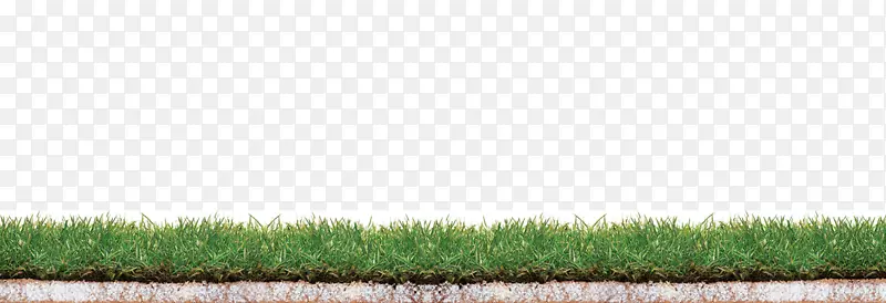 ũ�����ƺ�ݿ�-������