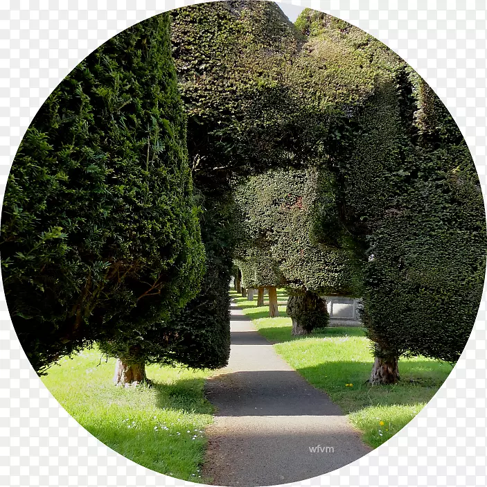 ����԰��ֲ���쾰��-������