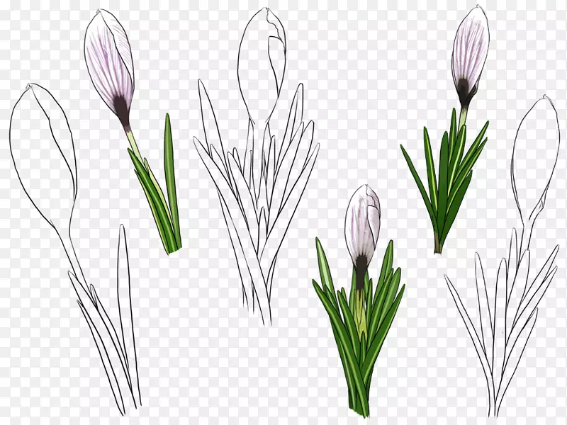 �����㻨�ֻ�������-������