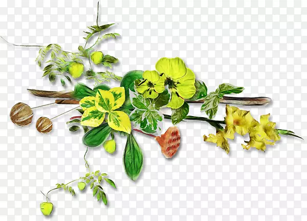 ���ͼ�����-������