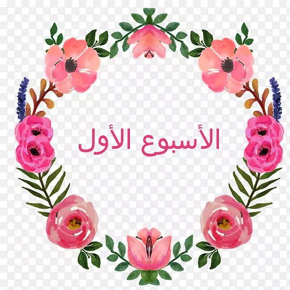 ����ˮ�ʻ�������Ƽ�����ˮ�ʻ�����-������