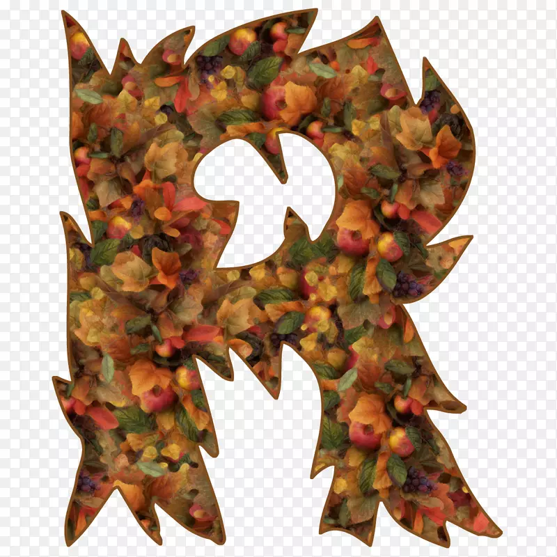 �������������11��23�ճ�������-������