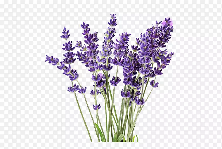 Ӣ��޹�²���ֲ�﷨��޹�²�ֲ��-������