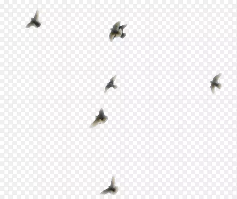 ��Ⱥ����Ĥ���-������