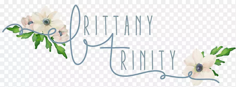 �������Ʒ���������-������