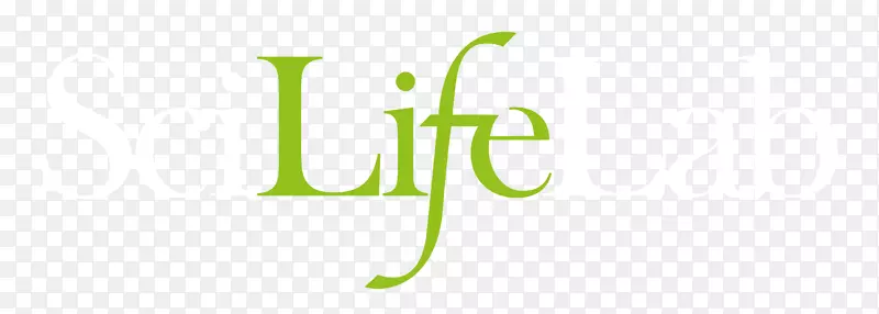 �ʼҼ���ѧԺ�����ѧ����ʵ���������ѧ-������