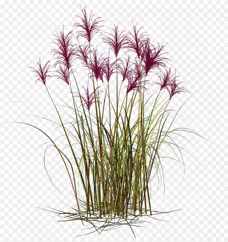 �����ֽ��-������