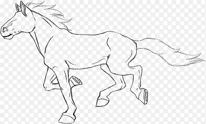 ���Զ�����Ƭ����-��-������