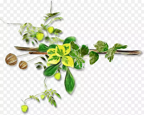 ���ͼ�����-������