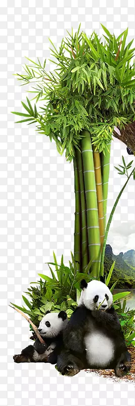 �滭������ͼ-�̲�-������