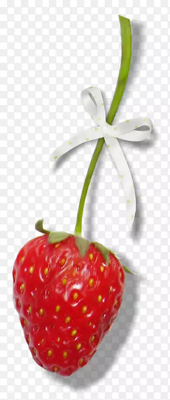 ��ݮ�ɲ�ݮ���͵���ˮ����ݮ-������