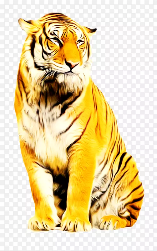 �������羰��-��-������