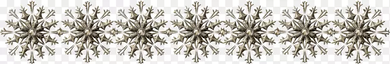 �����ռǲ����������-2018������-������