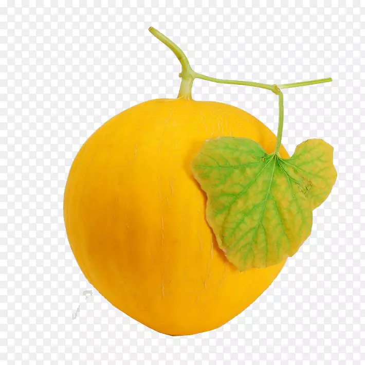 ���ܹ��۹�����̼ˮ������-���-������