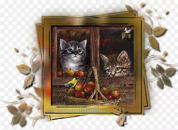 è��è-������