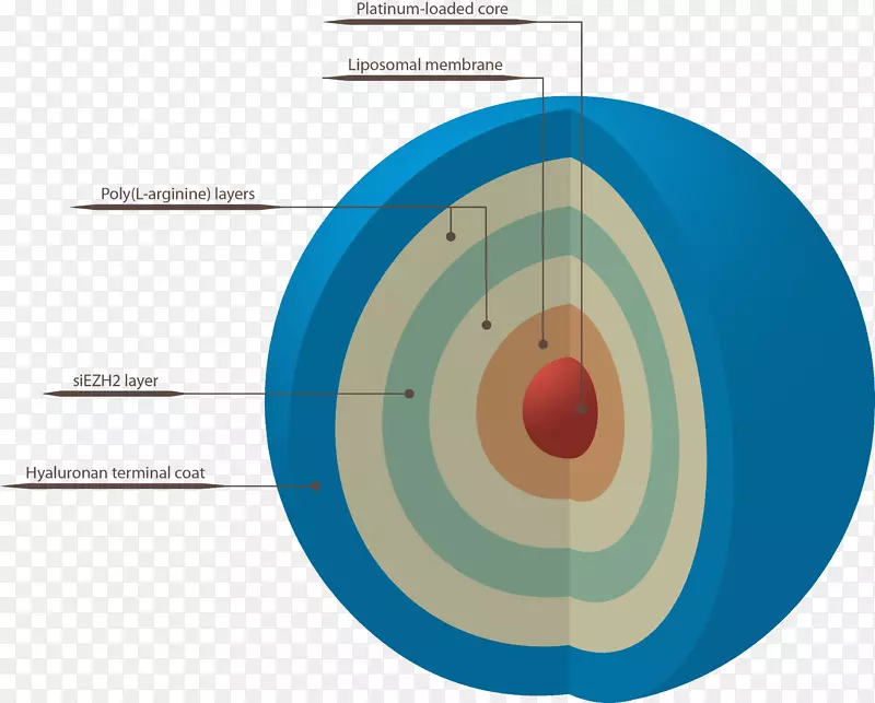����֬�������׼���С����RNA�߼���Һ�԰�-�߼�������ּ�-������