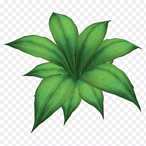 ��ľҶֲ�ﾥҶ-������