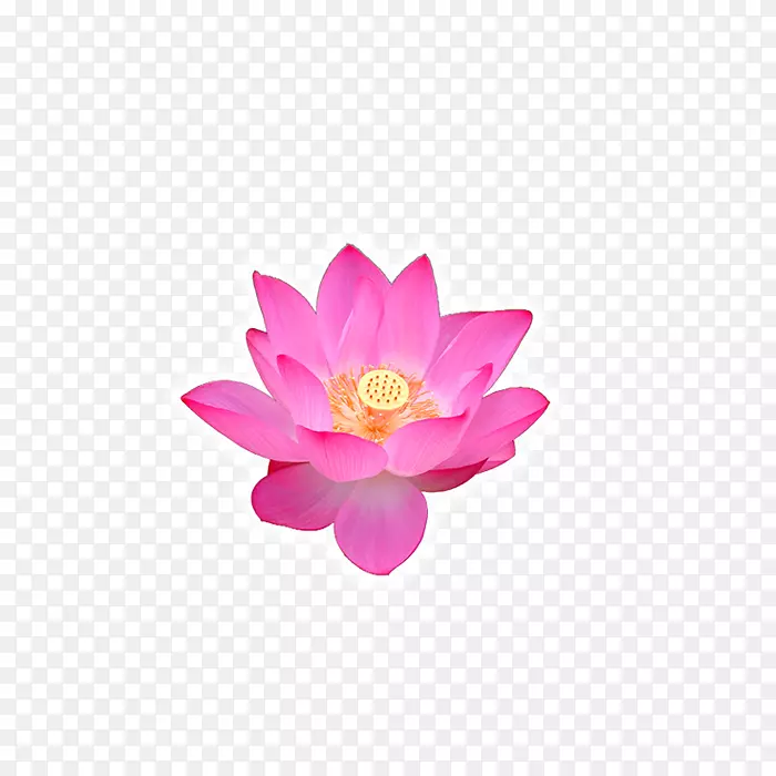 ��������������ź��̻�����-������