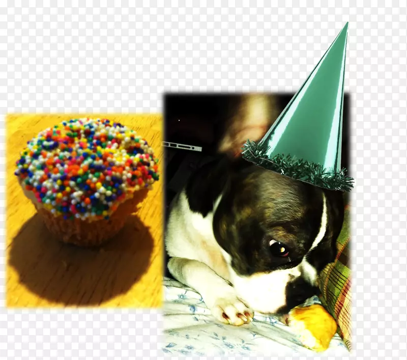 ����С����Ʒ����-С��-������