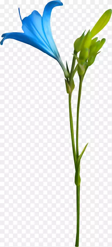 ���ܻ��궯���ٺϻ�-������