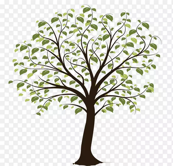 ��ľ������-��-������