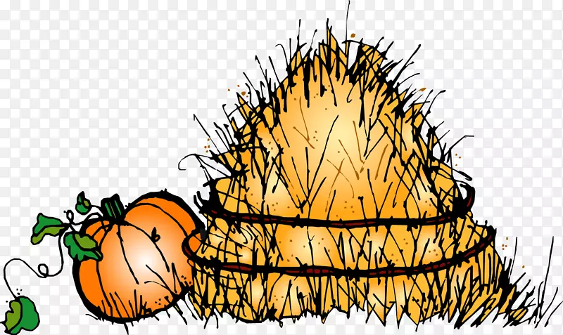 ���ְ�·���ƴͼ��������-������