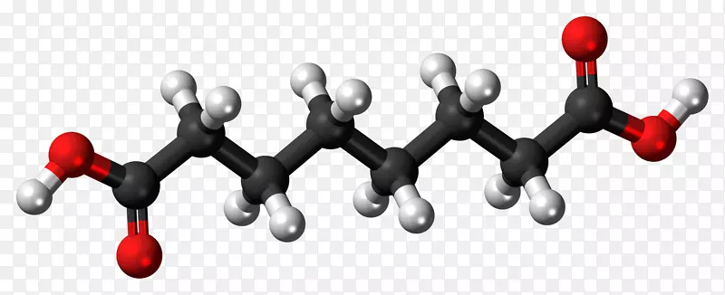 ��ʳ����������Ό������֬����������-������