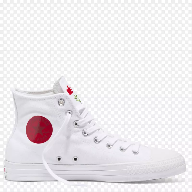 �˶�Ь���˶���������ѵ��-����-������