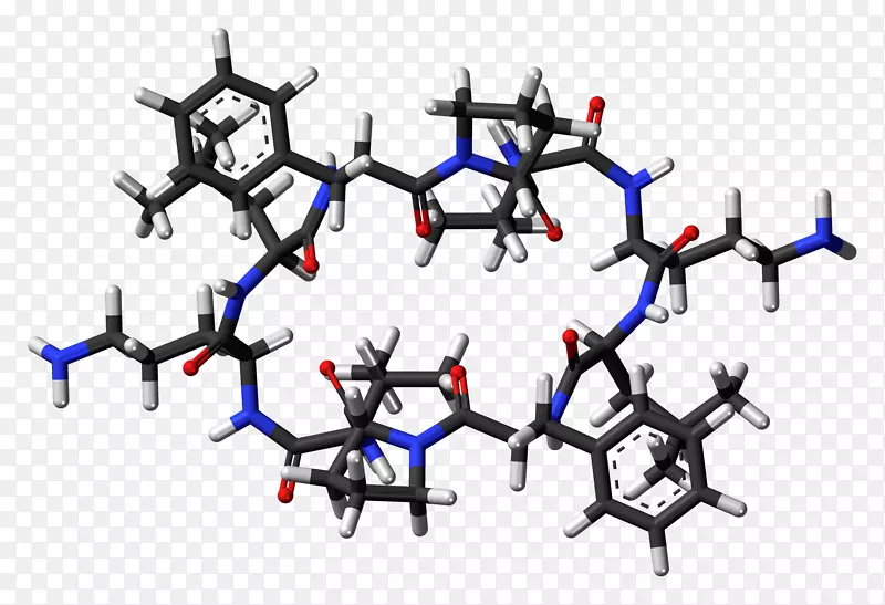 Gramicidin�ķǺ�����������ϳ�-�ͷ���-������