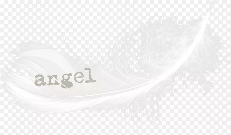 ��ë��ɫ��������-���ʷ��-������