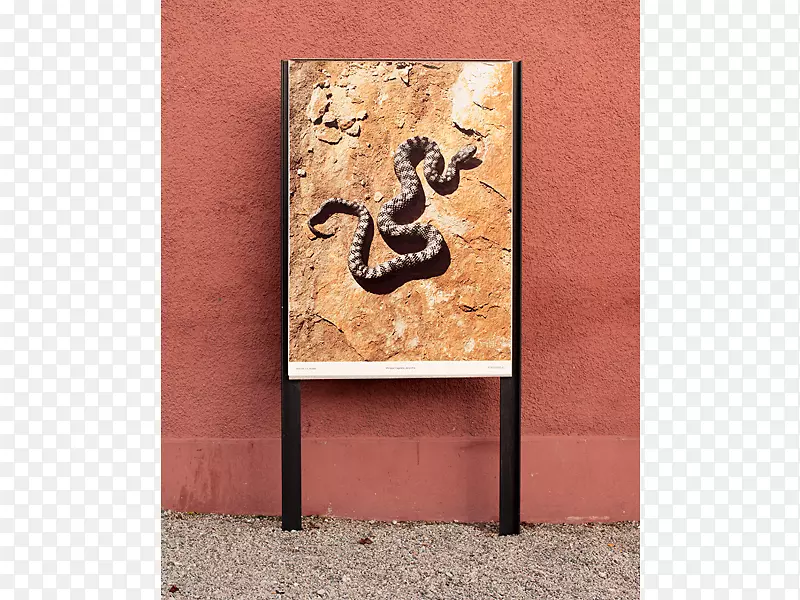 ��������-����-������