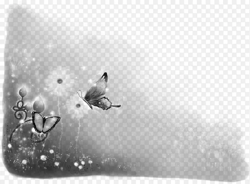 �����ֽ��ʾ�ֱ��ʸ������ȵ������������ʾ��.Mata Ki��Ƭ-������